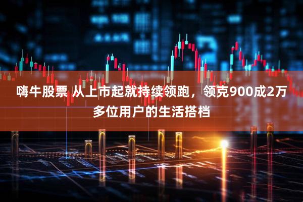 嗨牛股票 从上市起就持续领跑，领克900成2万多位用户的生活搭档