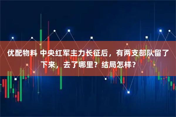 优配物料 中央红军主力长征后，有两支部队留了下来，去了哪里？结局怎样？