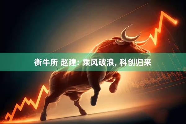 衡牛所 赵建: 乘风破浪, 科创归来