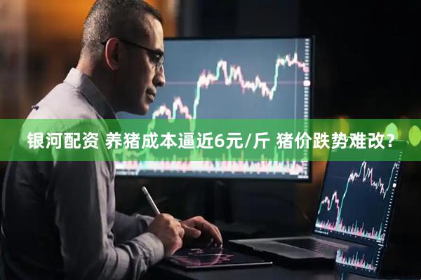 银河配资 养猪成本逼近6元/斤 猪价跌势难改？