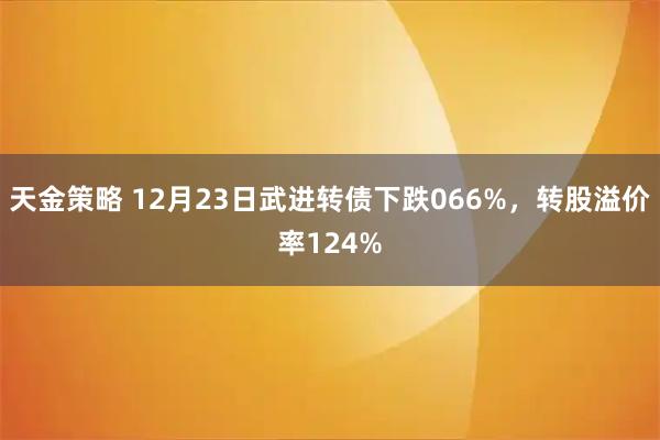天金策略 12月23日武进转债下跌066%，转股溢价率124%