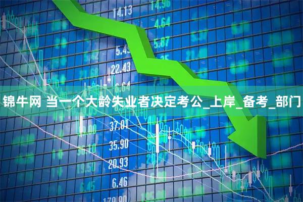 锦牛网 当一个大龄失业者决定考公_上岸_备考_部门